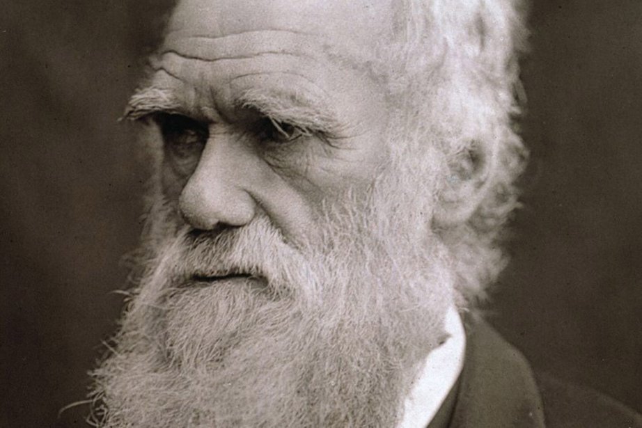 Portrait de Charles Darwin